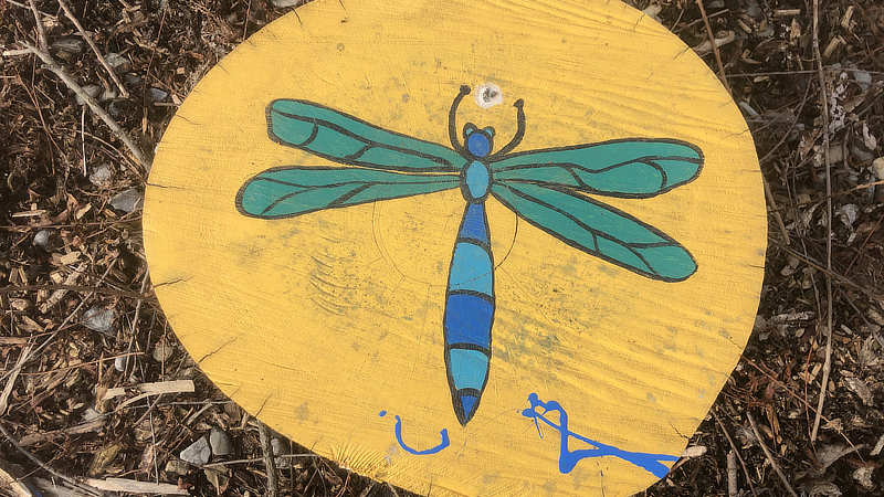 A tree stump seat with a bright blue and green dragonfly painting.