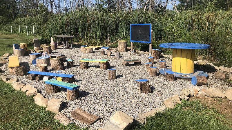An outdoor classroom with tree stump seats and benches.
