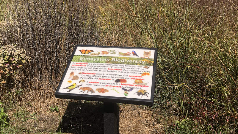 An outdoor sign with text and pictures about ecosystem biodiversity.
