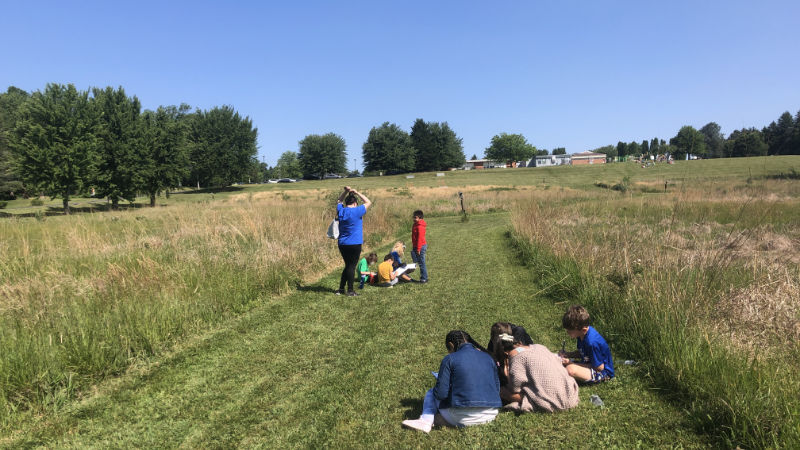 Two groups of students sit on a grassy path in a meadow as they work on assignments.