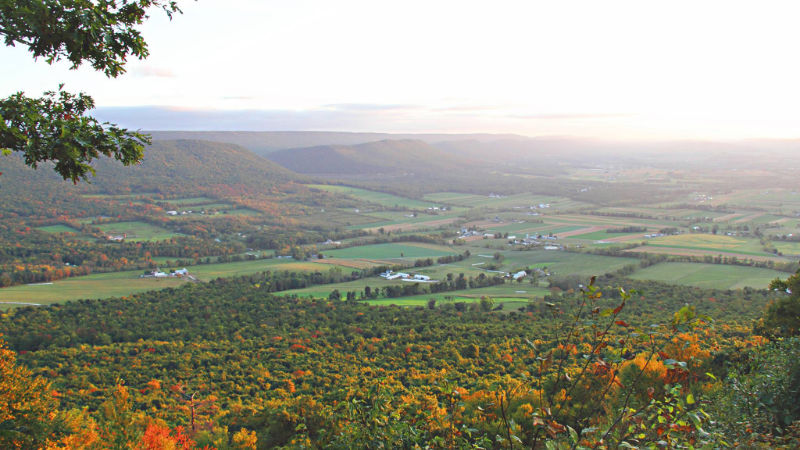 Overlooking Bald Eagle State Forest as fall foliage begins to turn.