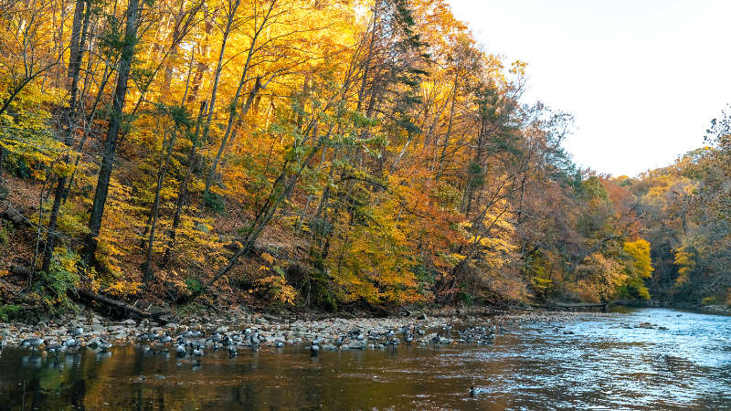 Pennsylvania river with forested streambanks showing fall colors.