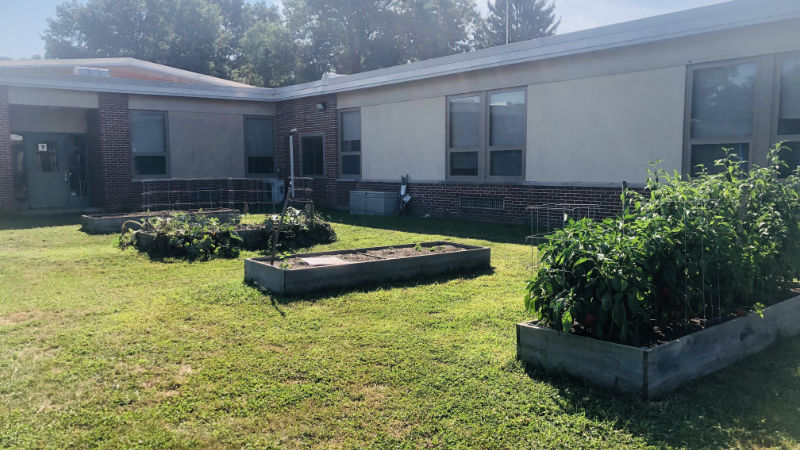 Four raised garden beds for growing vegetables in a schoolyard.