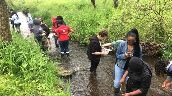 A dozen college students collect macroinvertebrates from a stream.